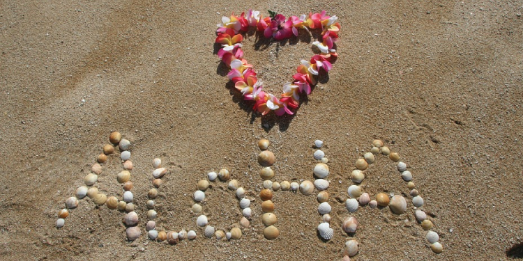 Achieve Stellar Customer Service with the Aloha Principle