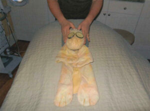 Stuffed Giraffe