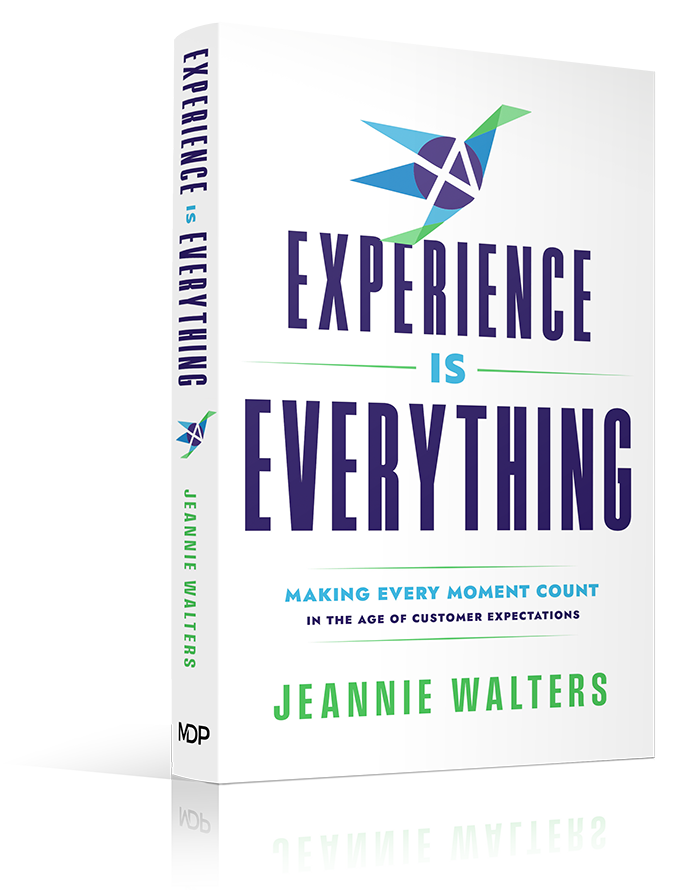 Cover design for the Experience is Everything book by Jeannie Walters.